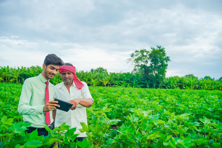 young handsome agronomist and farmer inspecting cotton field with tabletの写真素材