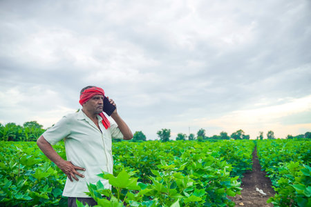 young indian farmer using smartphone at fieldの写真素材