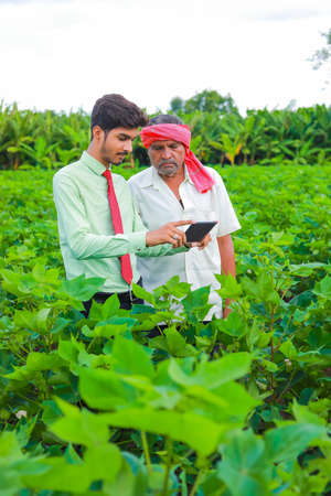 young handsome agronomist with farmer inspecting in cotton field with tabletの写真素材