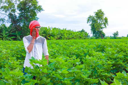young farmer hard working in his fieldの写真素材