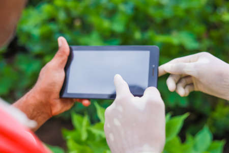 young handsome agronomist and farmer inspecting cotton field with tabletの写真素材