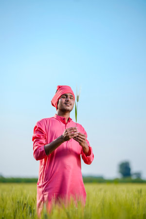 Indian farmer holding crop plant in hand at wheat field on sky backgroundの写真素材
