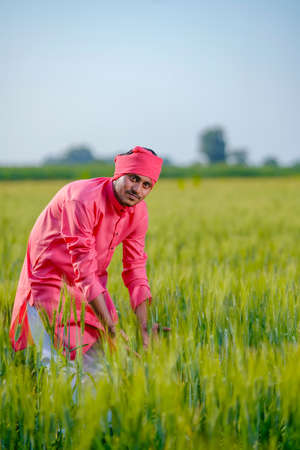 Young indian farmer standing at green wheat field on sky backgroundの写真素材