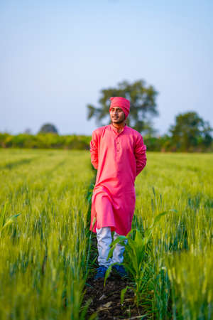 Young indian farmer walking at green wheat fieldの写真素材