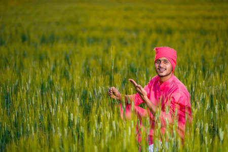 Happy young indian farmer at green wheat fieldの写真素材