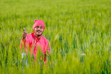Young indian farmer sitting at green wheat fieldの写真素材