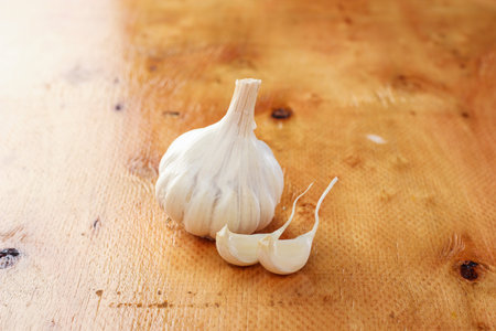 garlic , coriander and ginger indian food recipesの写真素材