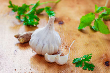 garlic , coriander and ginger indian food recipesの写真素材