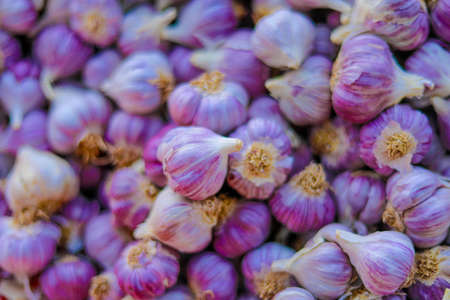 indian garlic background. indian food marketの写真素材