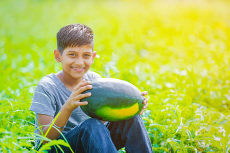 indian child at watermelon fieldの写真素材