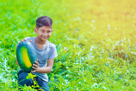 indian child at watermelon fieldの写真素材
