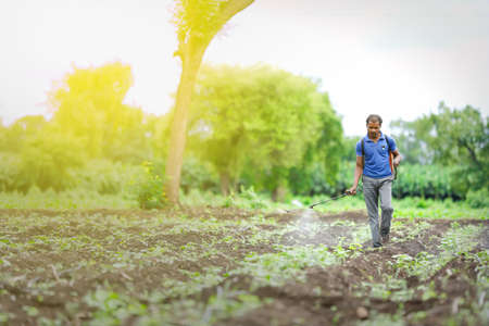 Indian farmer spraying pesticides at agriculture field