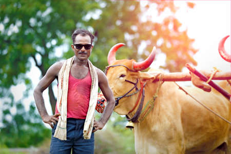 Indian farmer working at agriculture field in traditional way