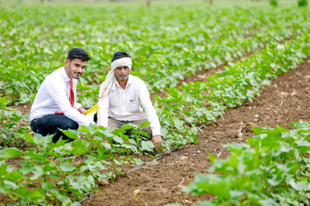 Young indian agronomist with farmer at agriculture fieldの写真素材
