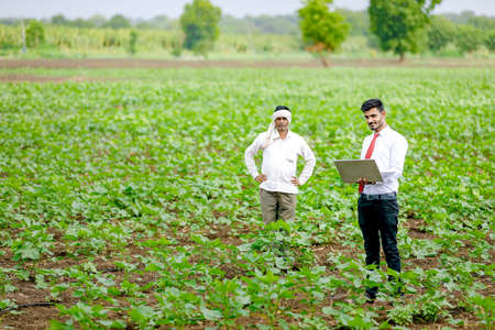 Young indian agronomist using laptop at agriculture fieldの写真素材