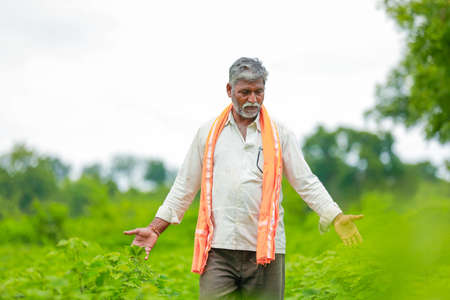 young indian farmer at cotton field , India