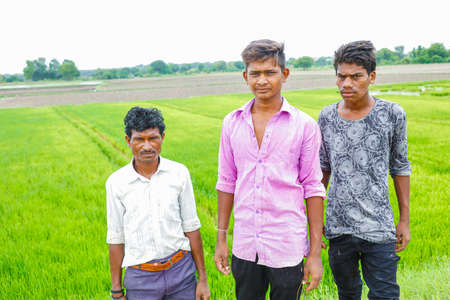 Indian Farmers  Working in Rice field , Ahmdabad, gujarat  India
25/07/2019のeditorial素材