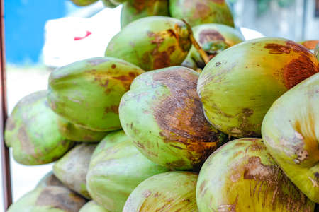 Indian green coconut bunch or group