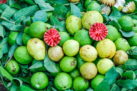Fresh Guava bunch in fruit marketの写真素材