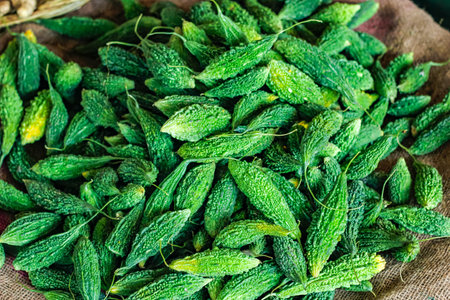 Fresh green bitter gourd bunch