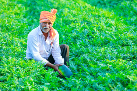 Young indian farmer at agriculture fieldの写真素材