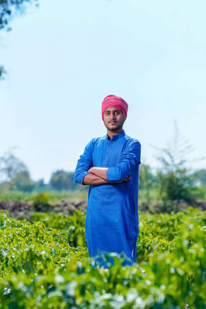 Young indian farmer standing at green chilly field