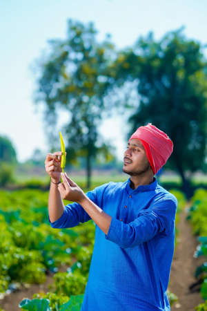 Young indian farmer holding green chilly in hand at agriculture fieldの写真素材