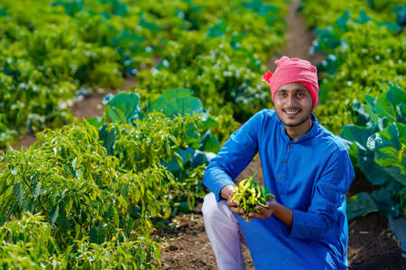Young indian farmer holding green chilly in hand at agriculture fieldの写真素材