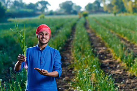 Young indian farmer holding onion crop in hand at agriculture fieldの写真素材