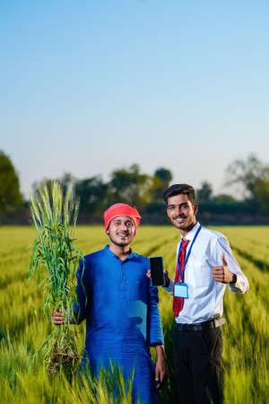 Young indian agronomist with farmer at green wheat field