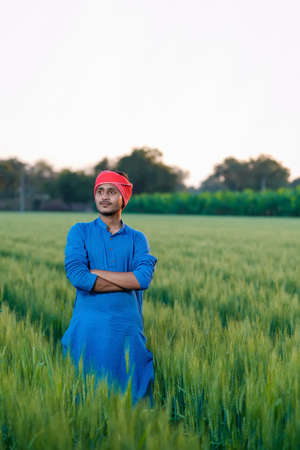 Young indian farmer at green wheat fieldの写真素材