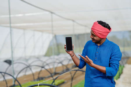 Young indian farmer showing smartphone at poly house or greenhouseの写真素材