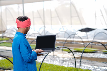 Young indian farmer using laptop at greenhouse or poly house