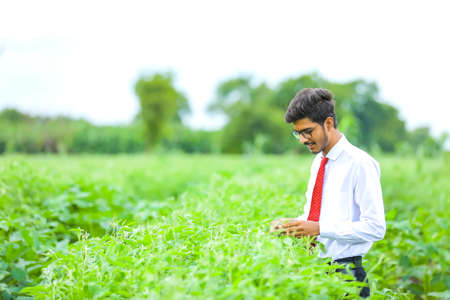 young indian agronomist at fieldの写真素材