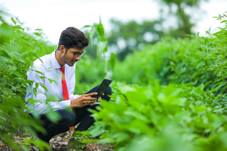 Technology and people concept, Young indian agronomist with tablet at fieldの写真素材
