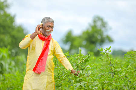 Indian farmer talking on mobile phone at Agriculture field