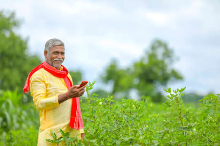Indian farmer using mobile phone at Agriculture fieldの写真素材