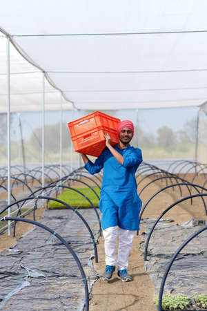 Indian farmer working at green houseの写真素材