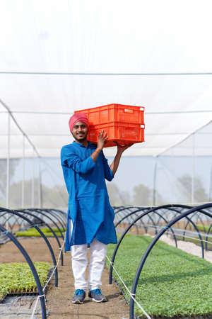 Indian farmer working at green houseの写真素材