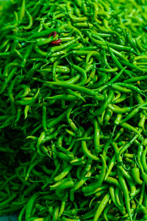 Green chilli peppers in Indian marketの写真素材