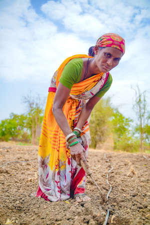 Indian lady working at fieldの写真素材