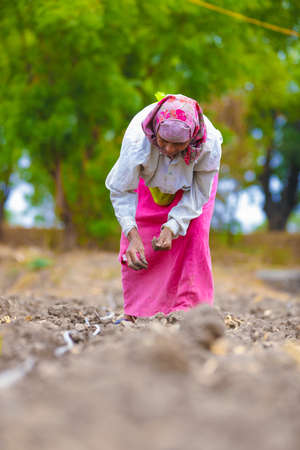Indian lady working at field
