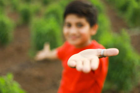 cute indian child at agriculture fieldの写真素材