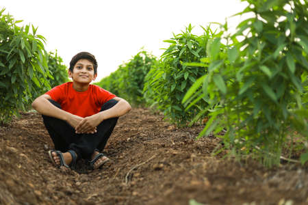 cute indian child at agriculture field