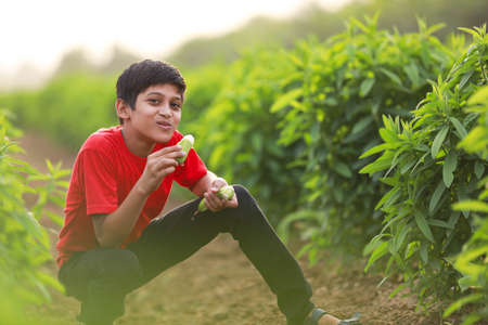 Cute indian child eating raw banana fruit at agriculture fieldの写真素材