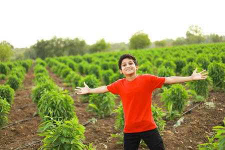 cute indian child at agriculture fieldの写真素材