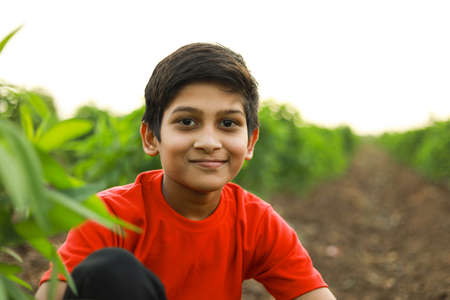 cute indian child at agriculture fieldの写真素材