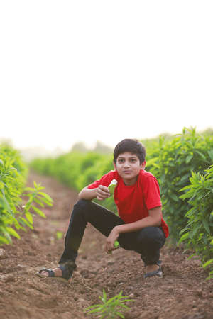 Cute indian child eating raw banana fruit at agriculture fieldの写真素材