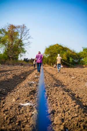 Drip irrigation system assemble in agriculture field. rural scene.