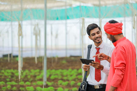 young agronomist showing some information to farmer in smartphone at greenhouseの写真素材